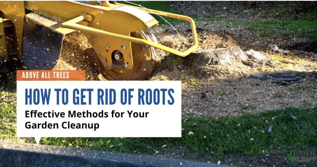 Get Rid of Tree Roots